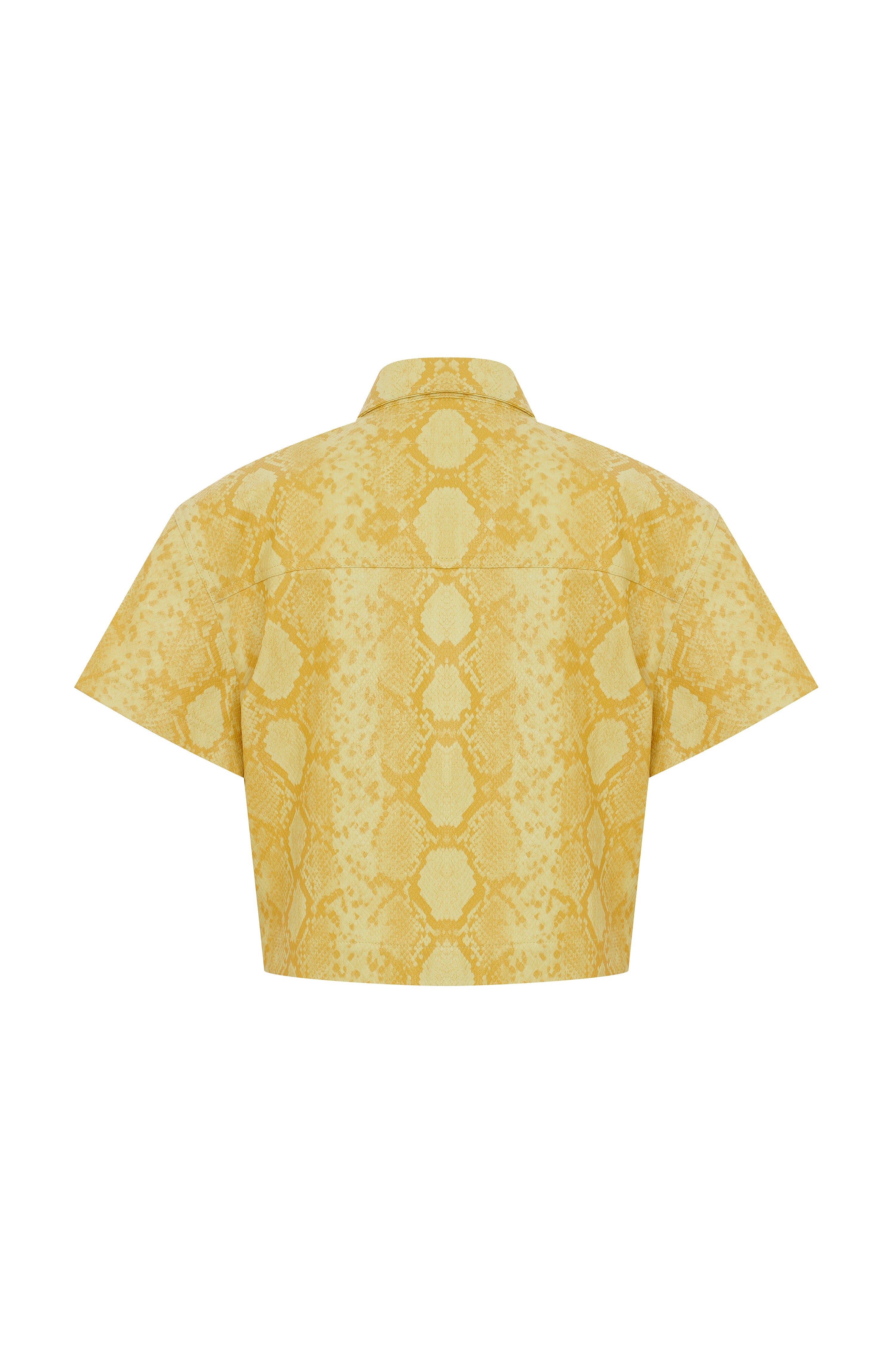 Cut Shirt