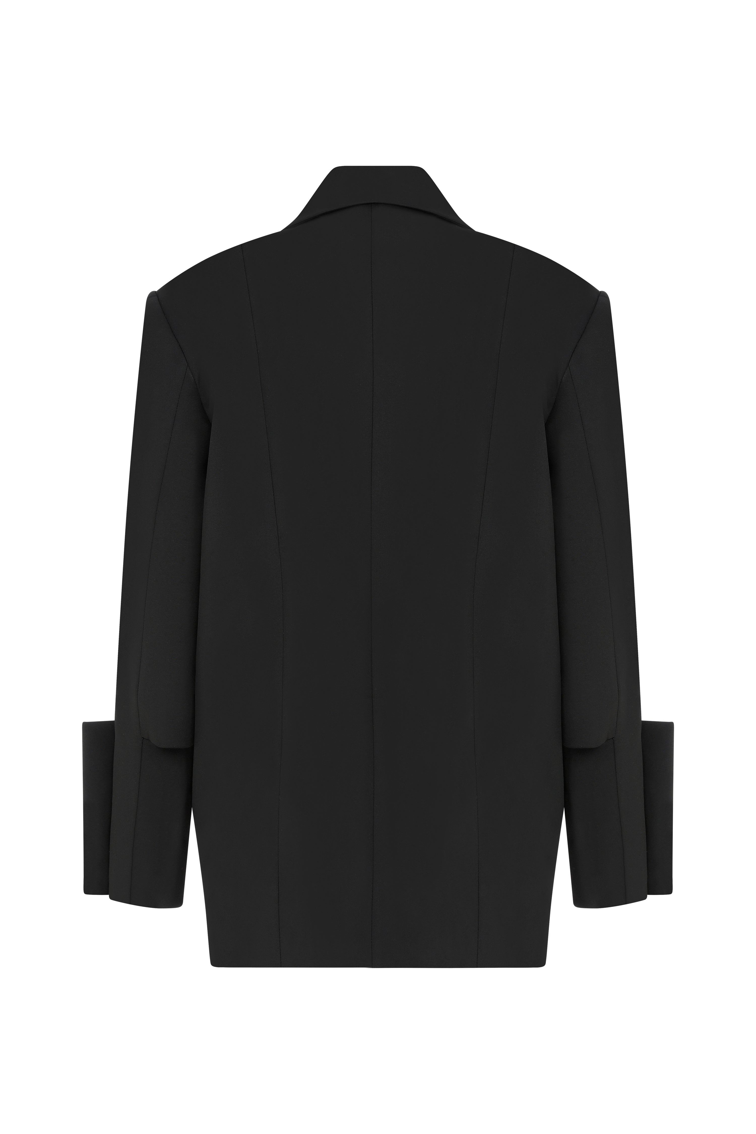 Neo Poet Oversize Blazer